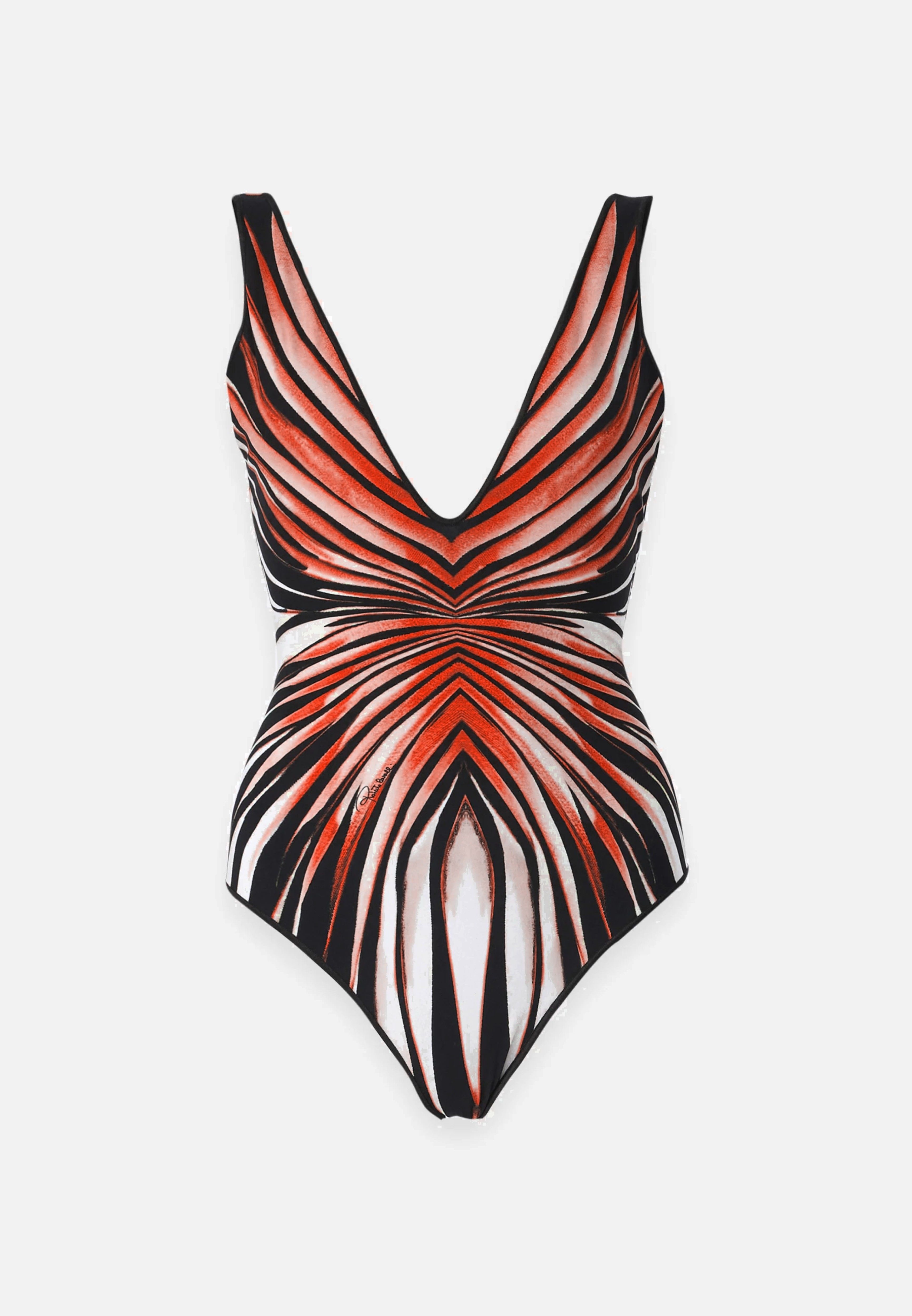 Custom Butterfly print Swimsuit, Beach wear Bikini wear